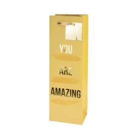 You Are Amazing Single Bottle Wine Bag